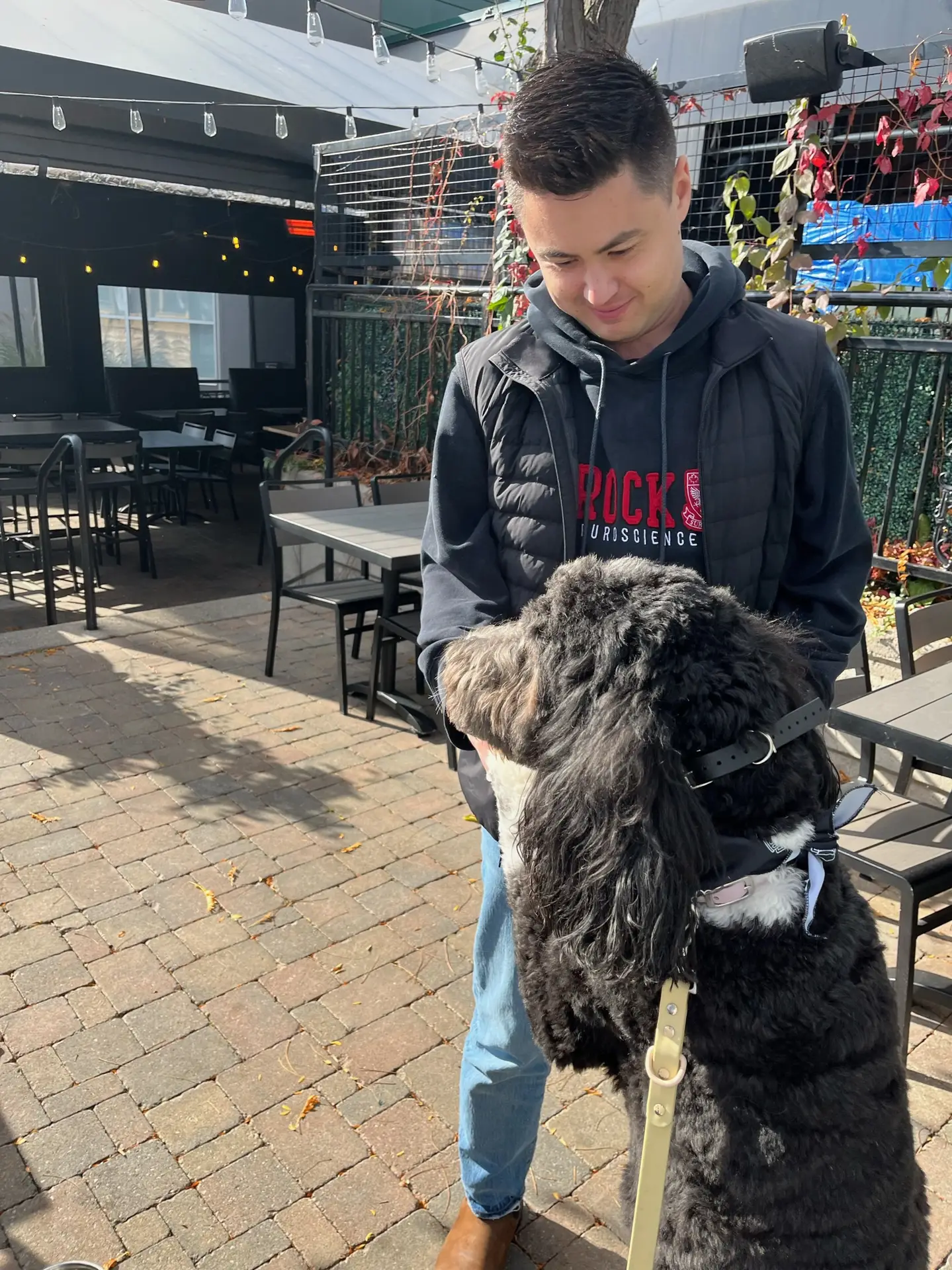 Dogs and friends on the patio in Oakville